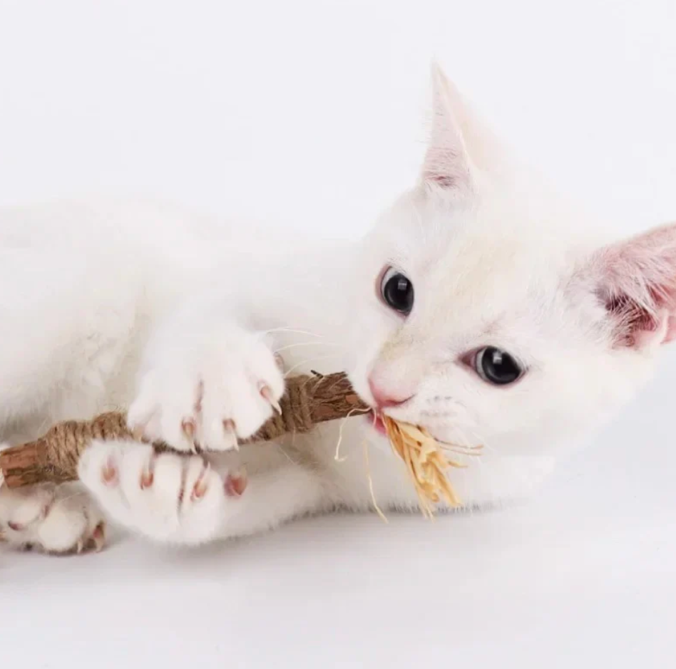 TastyBite™ - Natürliche Zahnpflege & Spielspaß für gesunde Katzenzähne!