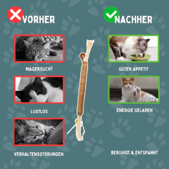 TastyBite™ - Natürliche Zahnpflege & Spielspaß für gesunde Katzenzähne!