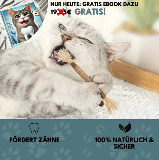 TastyBite™ - Natürliche Zahnpflege & Spielspaß für gesunde Katzenzähne!